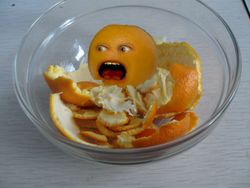 palmlix_com-annoying-orange-in-my-kitchen-by-blackmaddog-on-deviantart_1192435.jpg